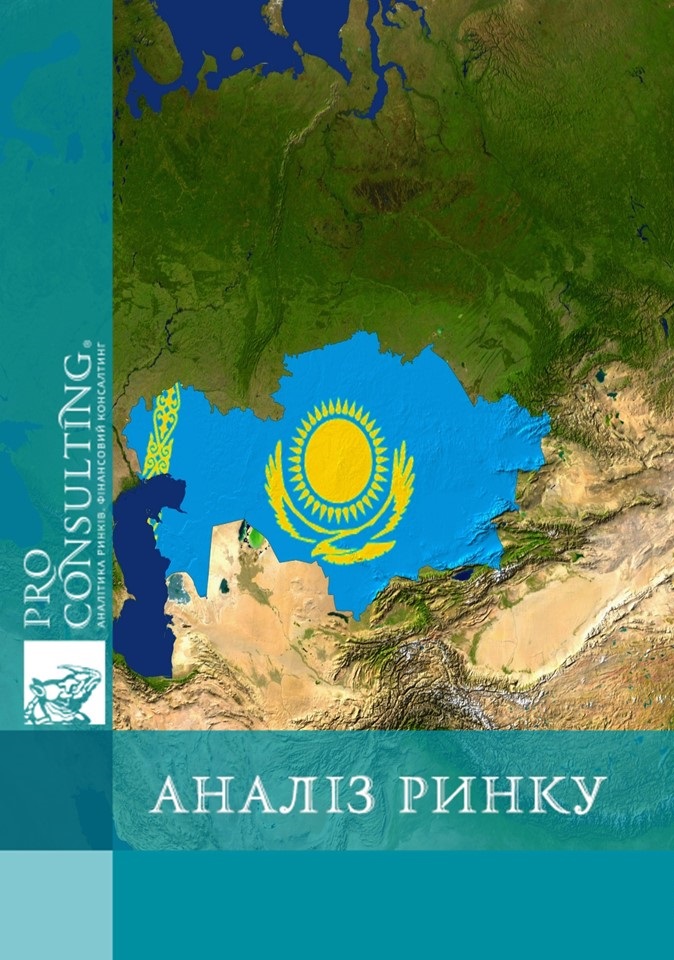 Аналіз ринку заставного та беззаставного небанківського кредитування в Казахстані. 2016 рік